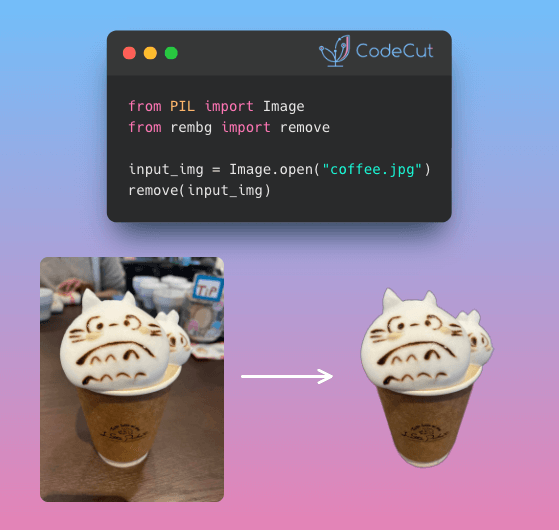 Code example: Rembg: Remove Image Backgrounds in 2 Lines of Python